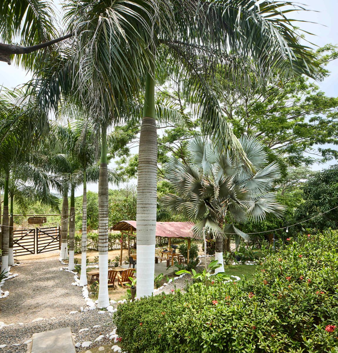 Casa Rio Palomino photo 3