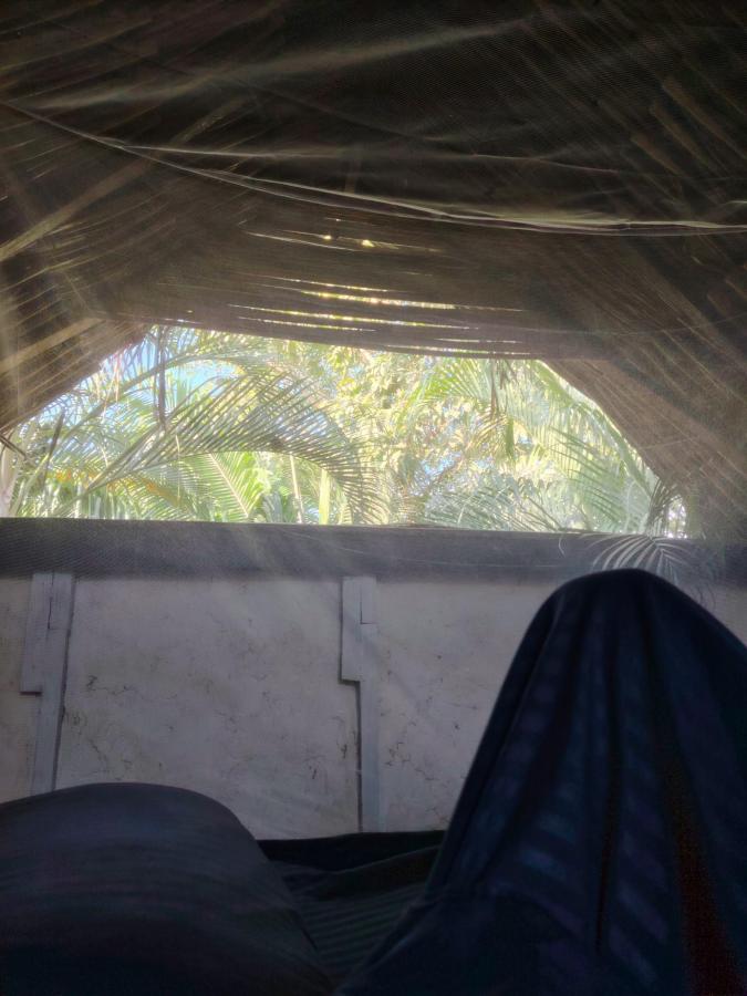 Casa Rio Palomino photo 6