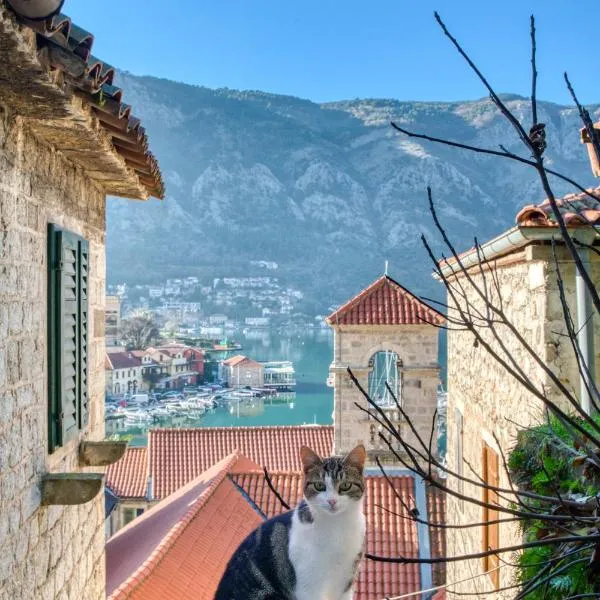 Montenegro Backpackers Home Kotor photo 5