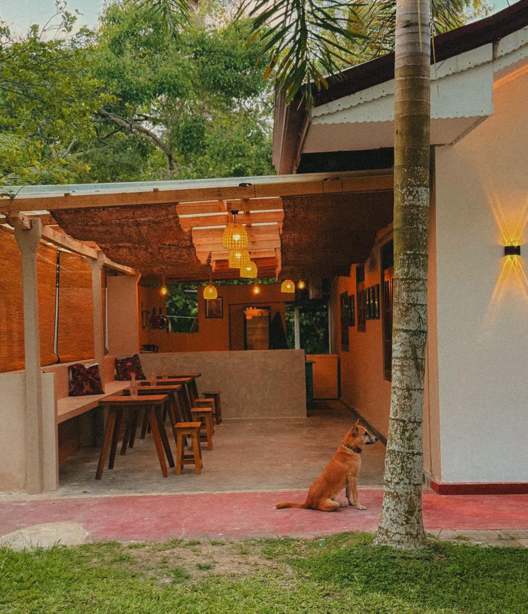 Summer House photo 2