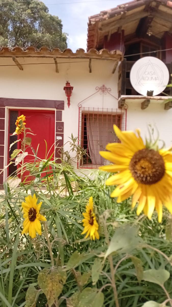 Casa Alquimia photo 2