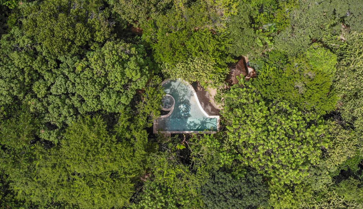 Dreamsea Surf Camp Costa Rica photo 3