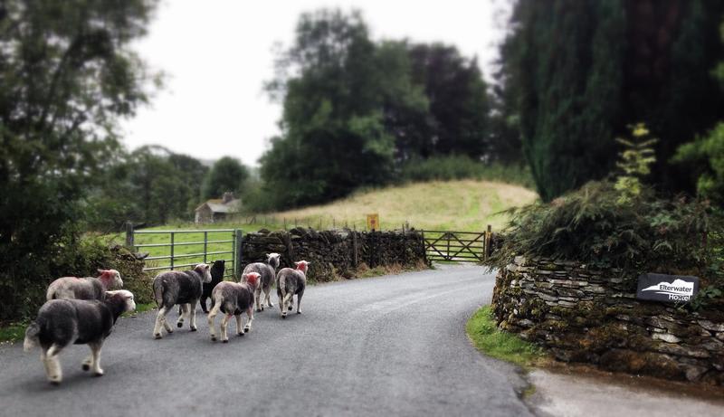 Elterwater Hostel photo 3