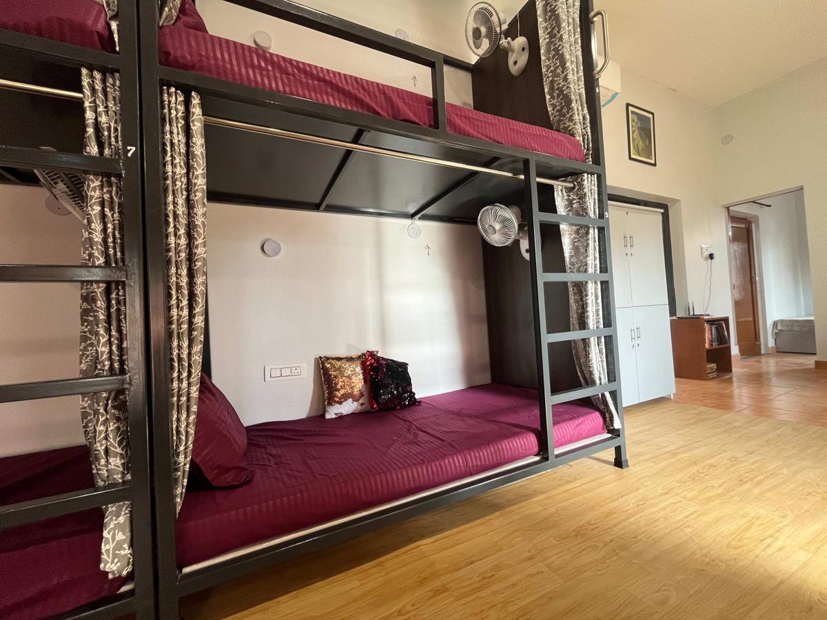 Green Backpacker Hostel photo 2
