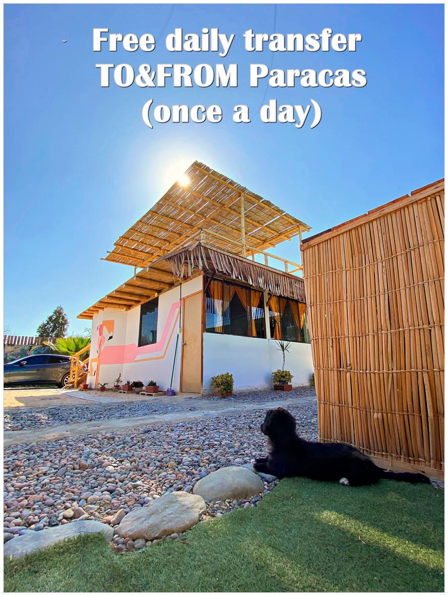 Paracas Desert Lodge&Tours photo 4