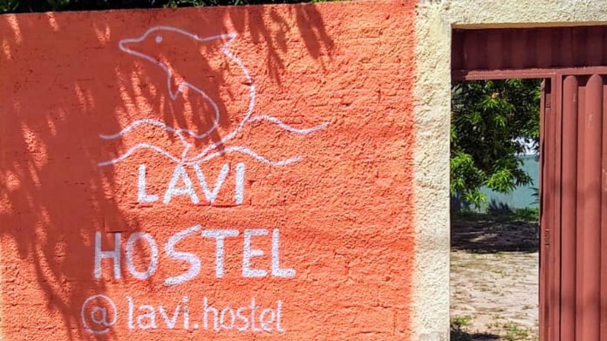 Lavi Hostel photo 2