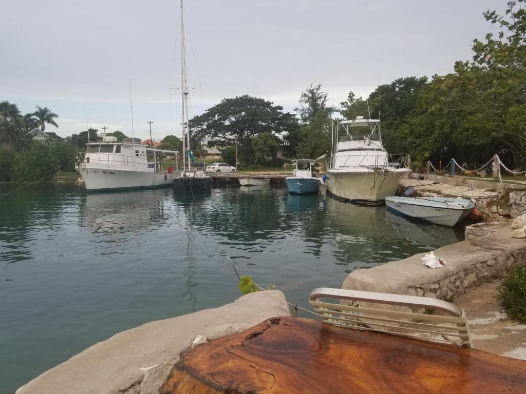 Captain Morgan House photo 4
