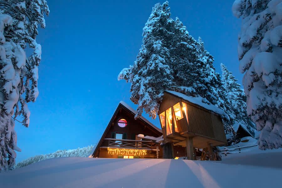Tree House Alpinka Krvavec photo 1