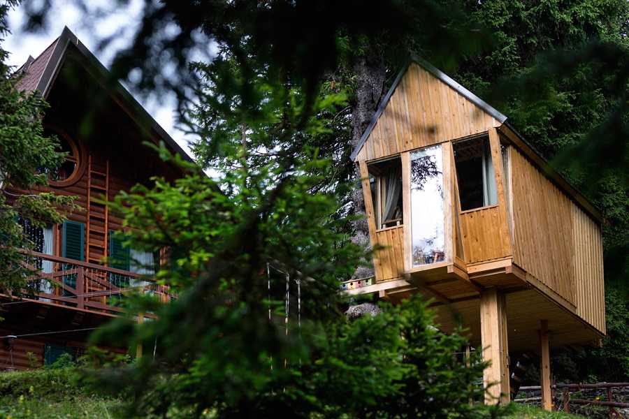 Tree House Alpinka Krvavec photo 2