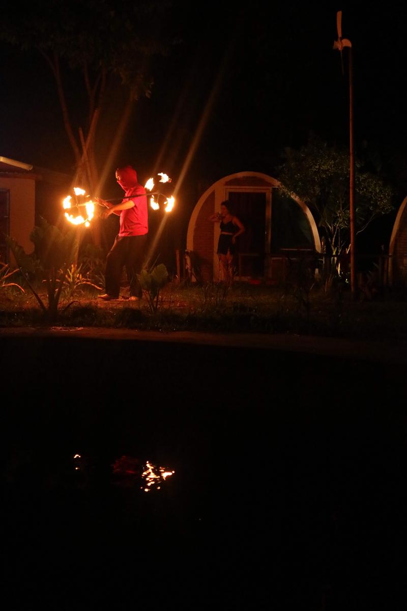 The Bear Bungalow photo 4