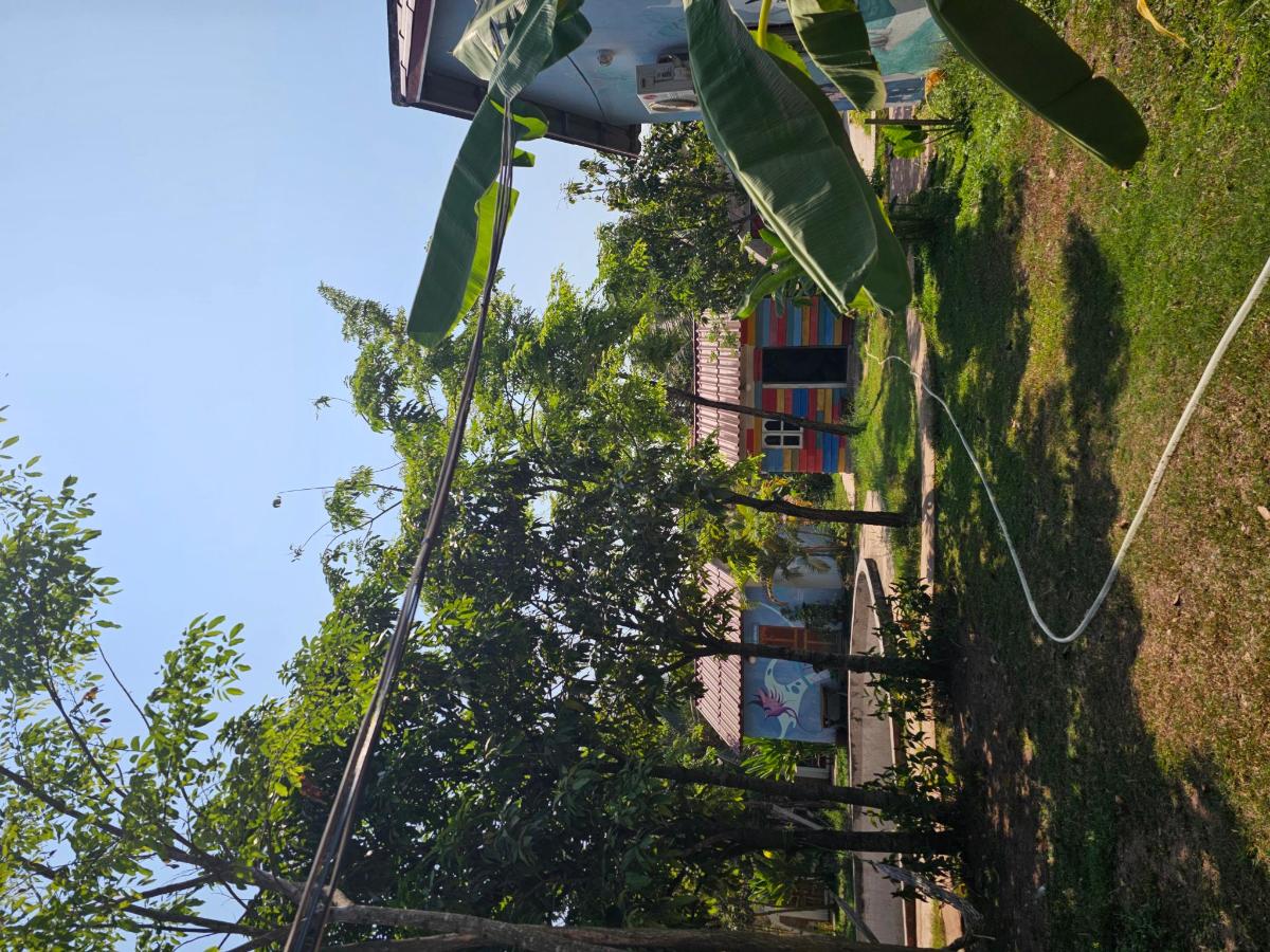 The Bear Bungalow photo 6