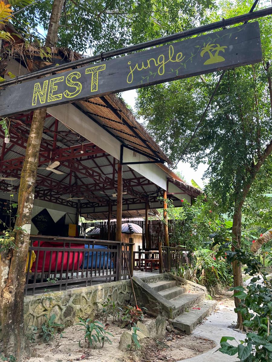 Nest Jungle photo 2