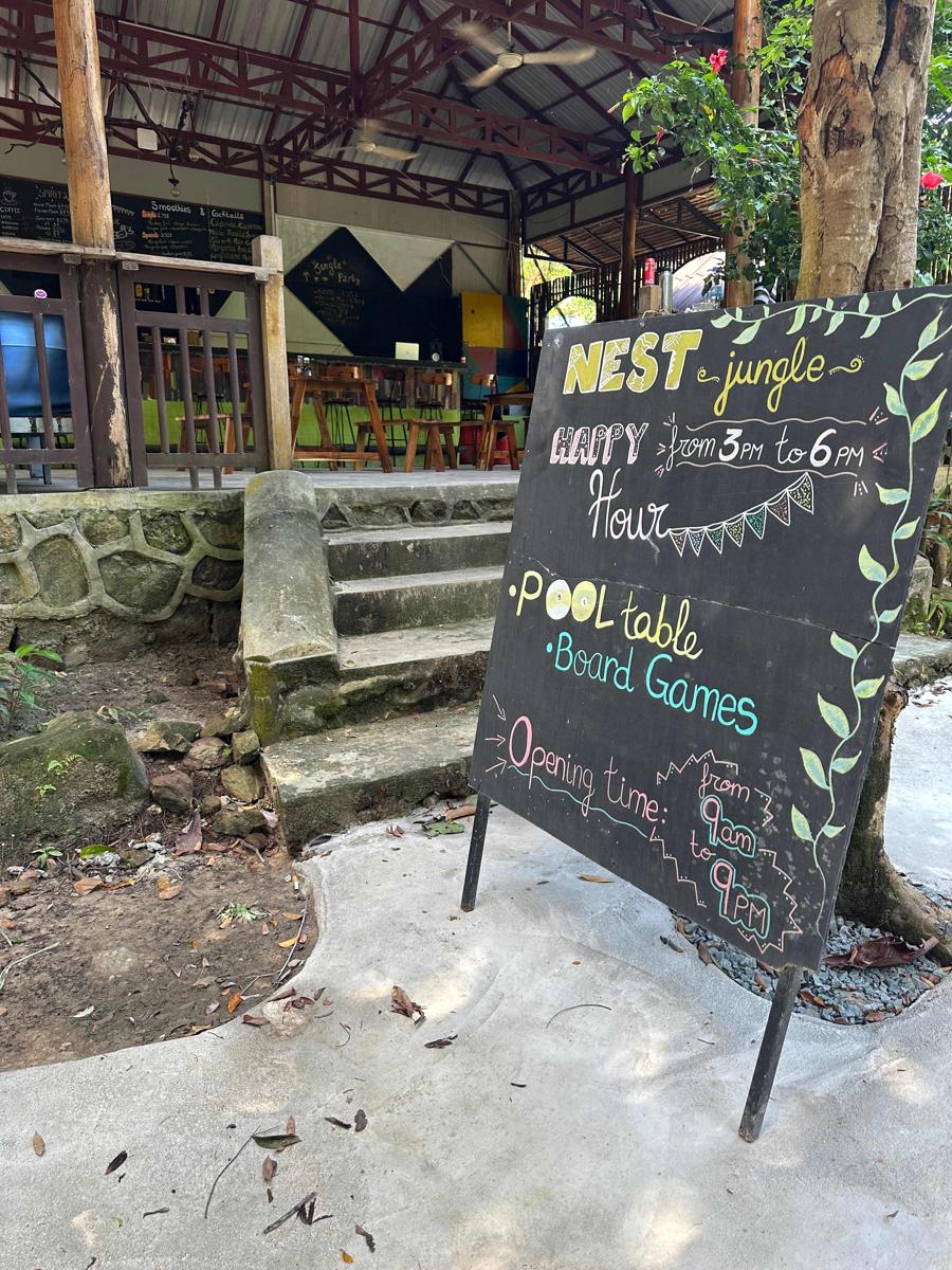 Nest Jungle photo 3