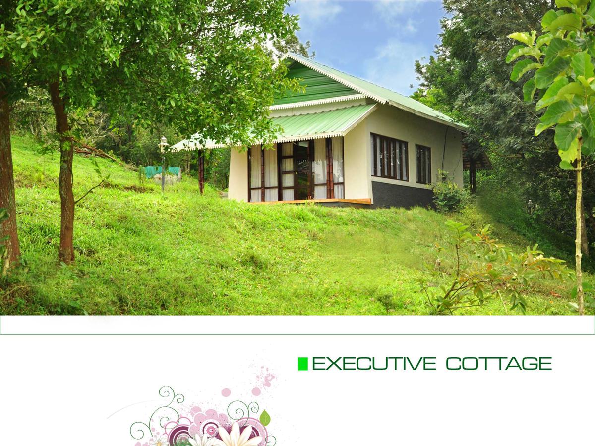 Punarjani Ayurvedic Resorts photo 1