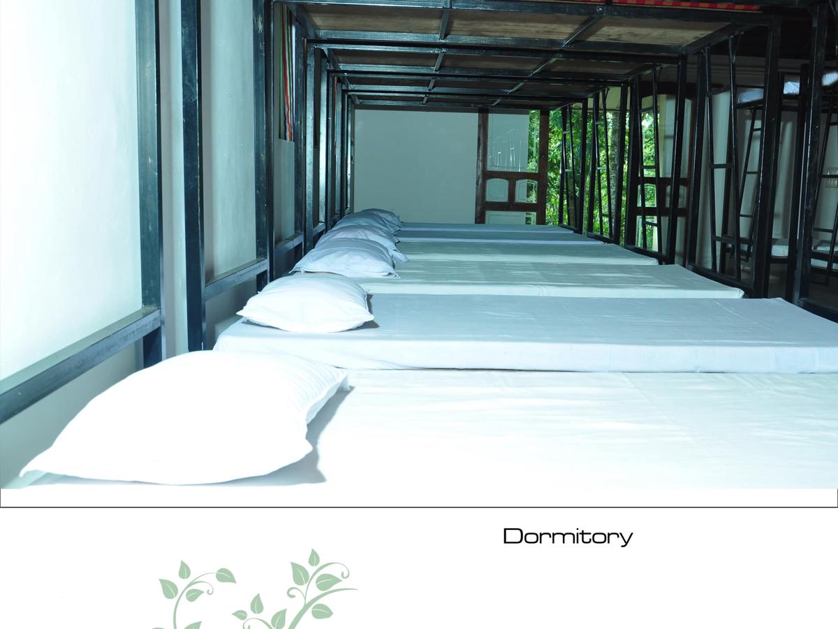 Punarjani Ayurvedic Resorts photo 2