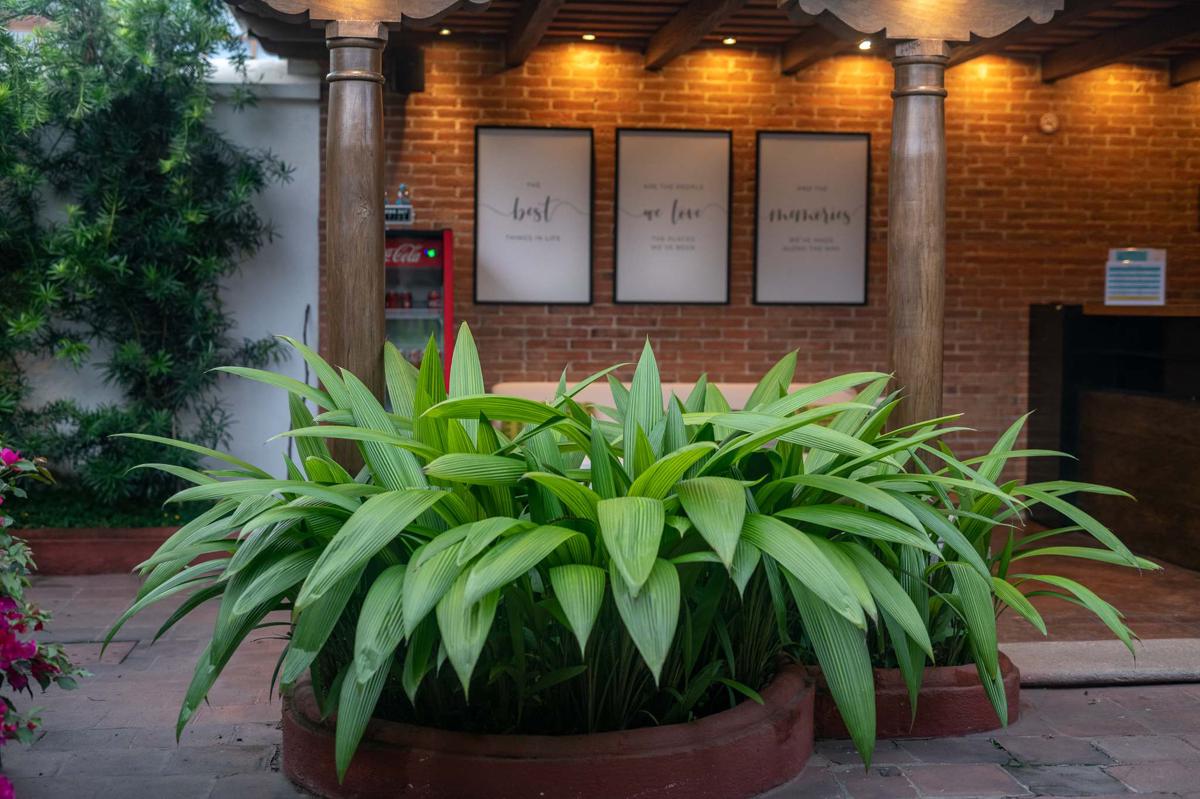 Barbara's Boutique Hostel photo 3