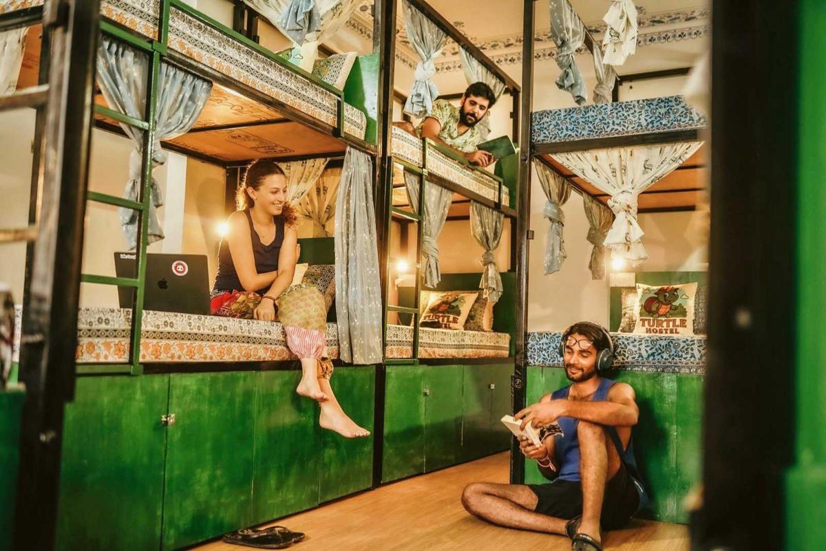 Turtle Hostel photo 2