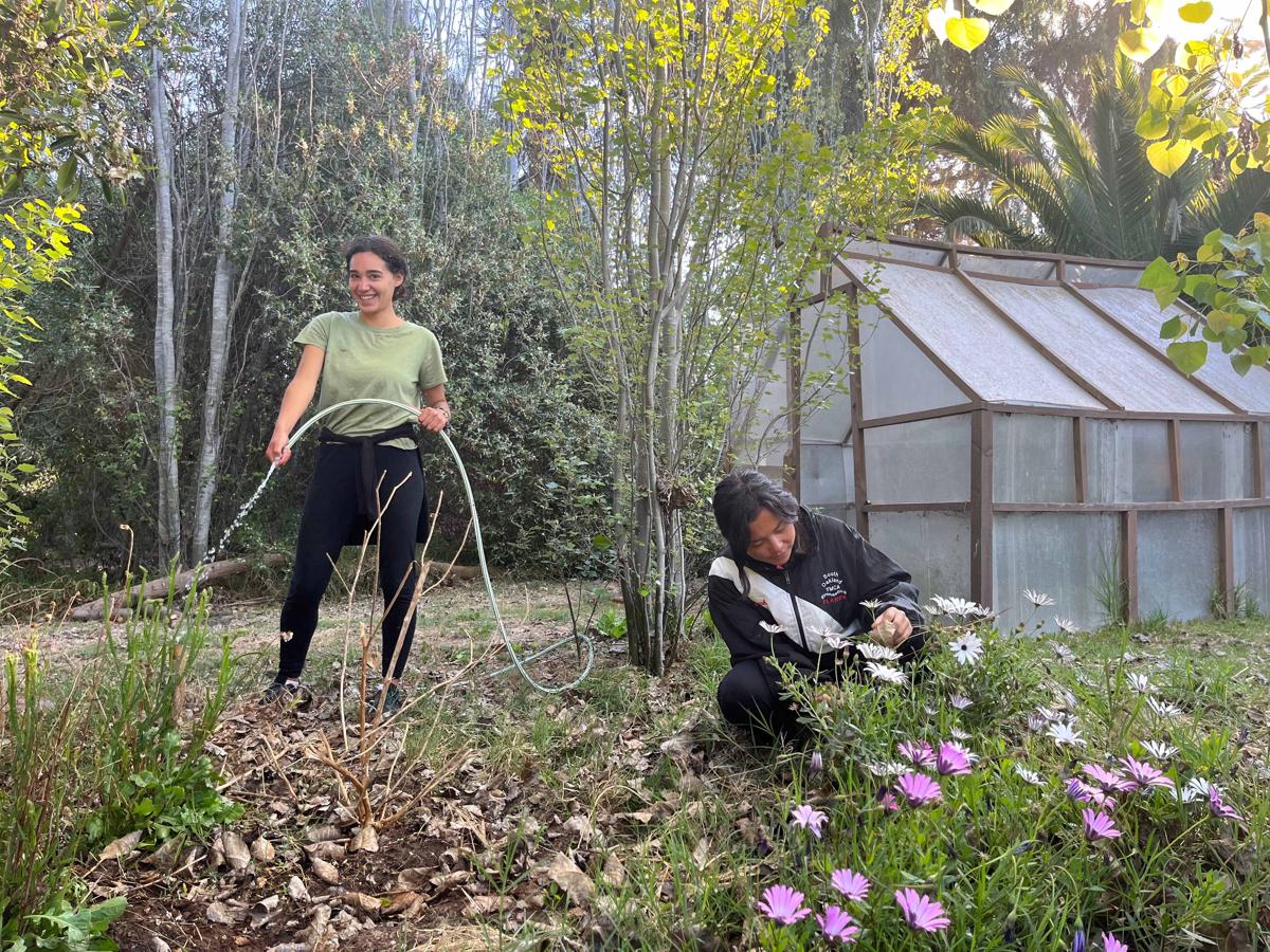Glamping El Arbol - Naturaleza y Mar photo 3