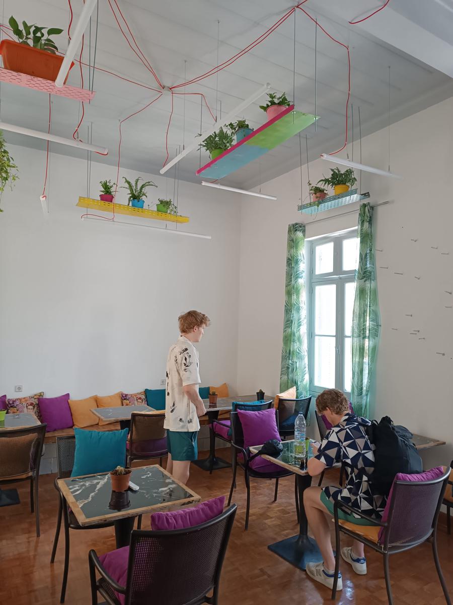 Tribes Upscale Hostel photo 2