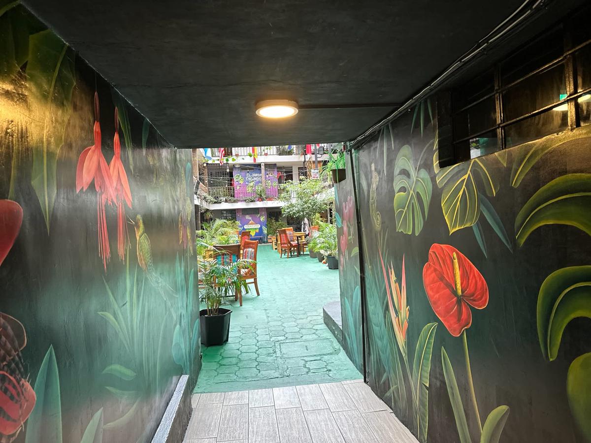 El Jardín Escondido Hostel photo 3