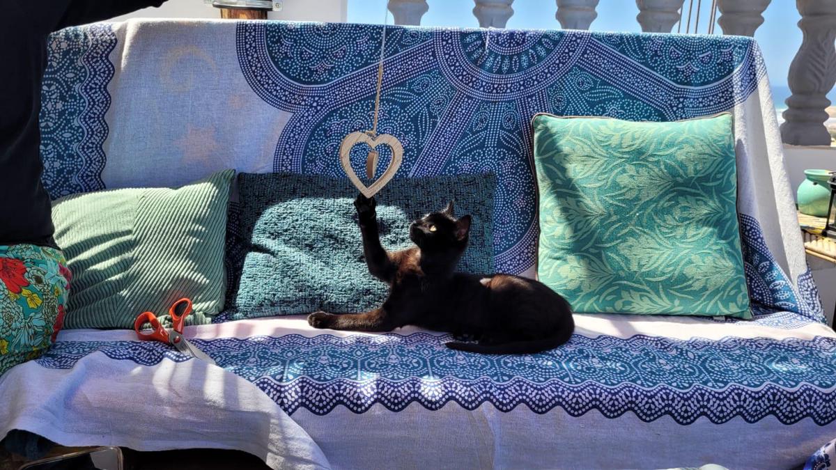 Agadir Funky Chill Guesthouse photo 2