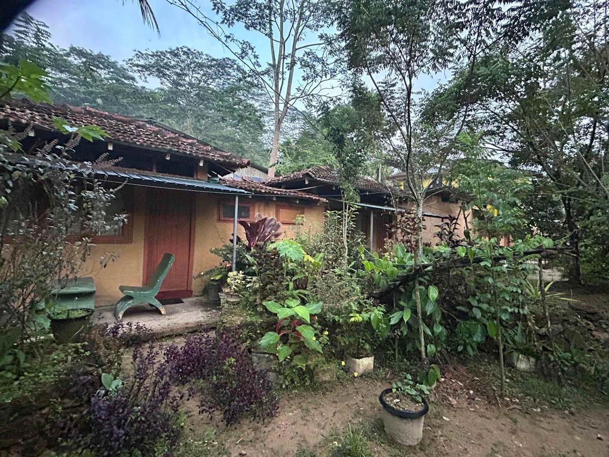 Deniyaya National Backpakers Hostel photo 1