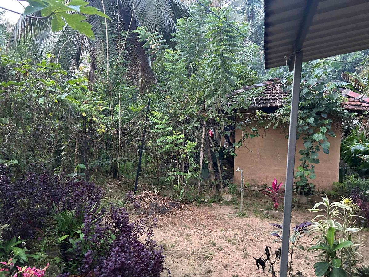 Deniyaya National Backpakers Hostel photo 2