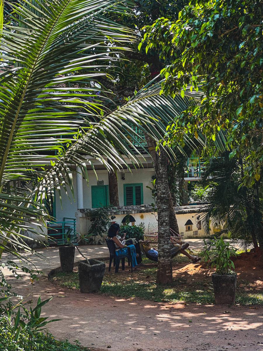 Mollys Hostel photo 1