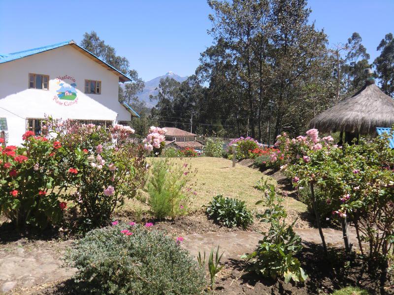 Hosteria Rose Cottage photo 3