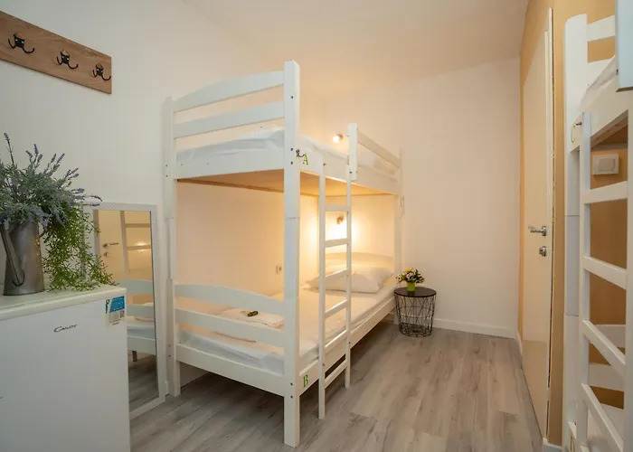 Hostel Novalis photo 3