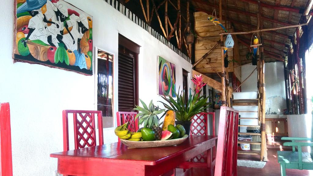 Hostel La Ballena Backpacker photo 3