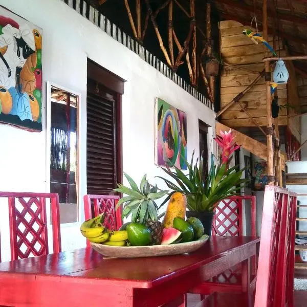 Hostel La Ballena Backpacker photo 5