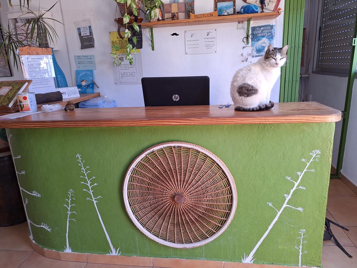 Albergue de San Jose photo 4