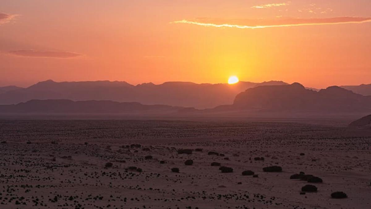 Nights With Bedouin & Jeep Tours photo 3