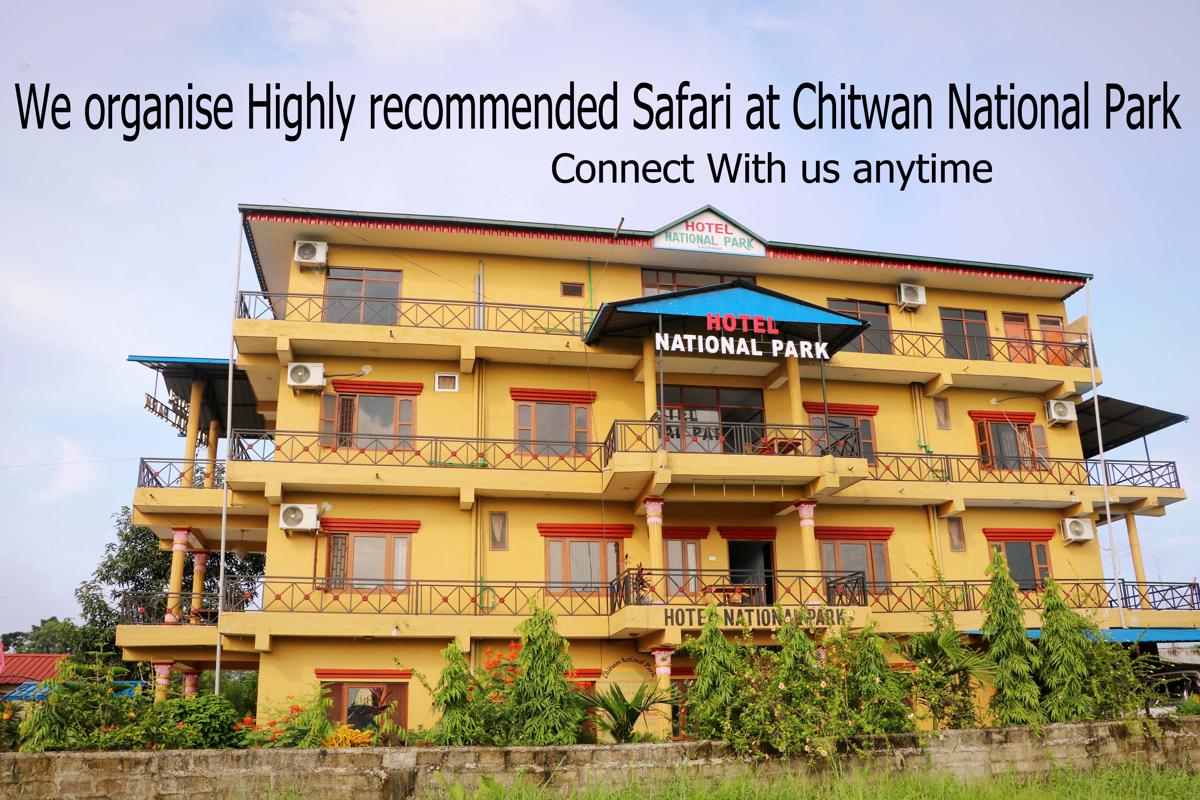 Hotel National Park Sauraha -Homely Stay and Peaceful Location with Jungle Safari arrangements photo 3