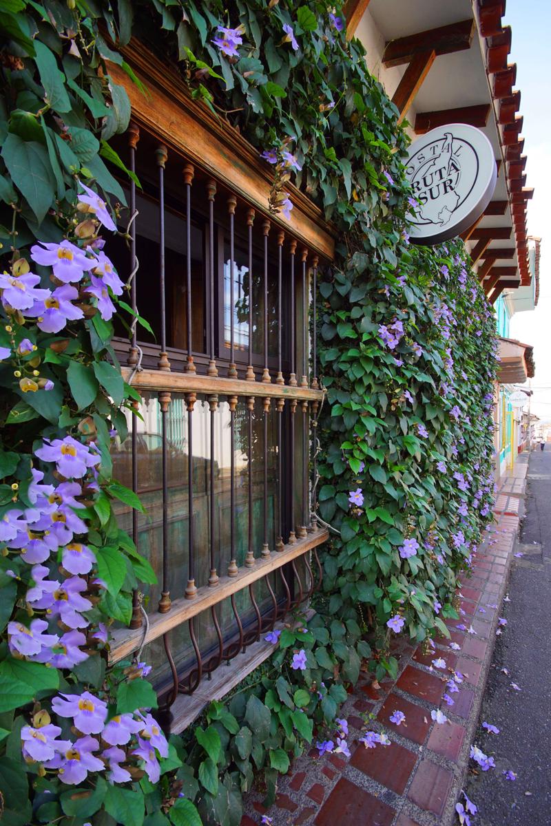 CASA RUTA SUR photo 1