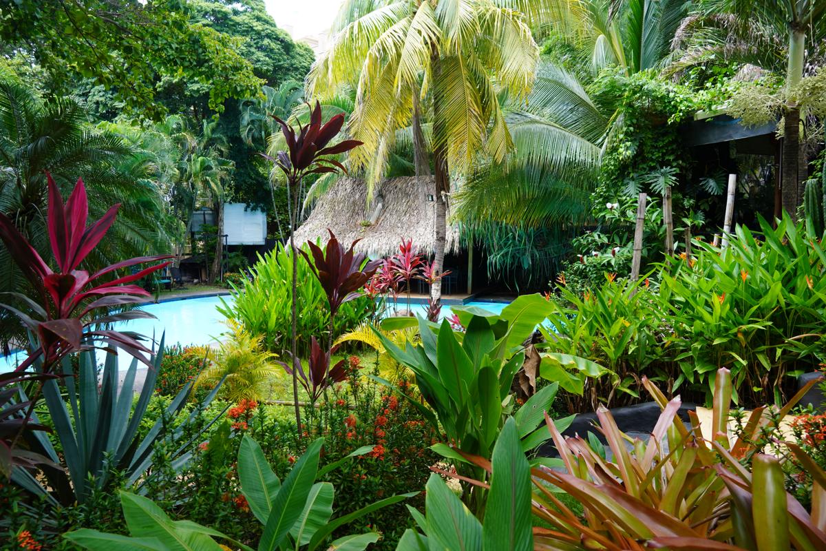 Bonga House photo 2