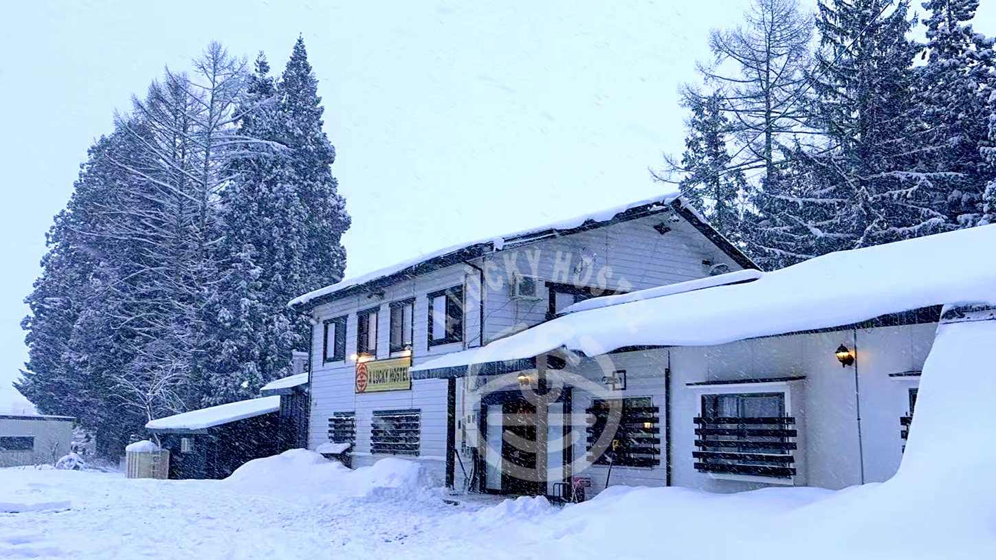 A Lucky Hostel photo 1