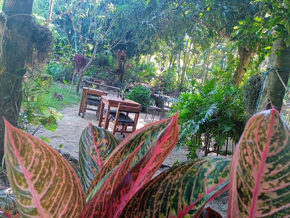 Family Hostel Danam - Adventure Tours photo 4