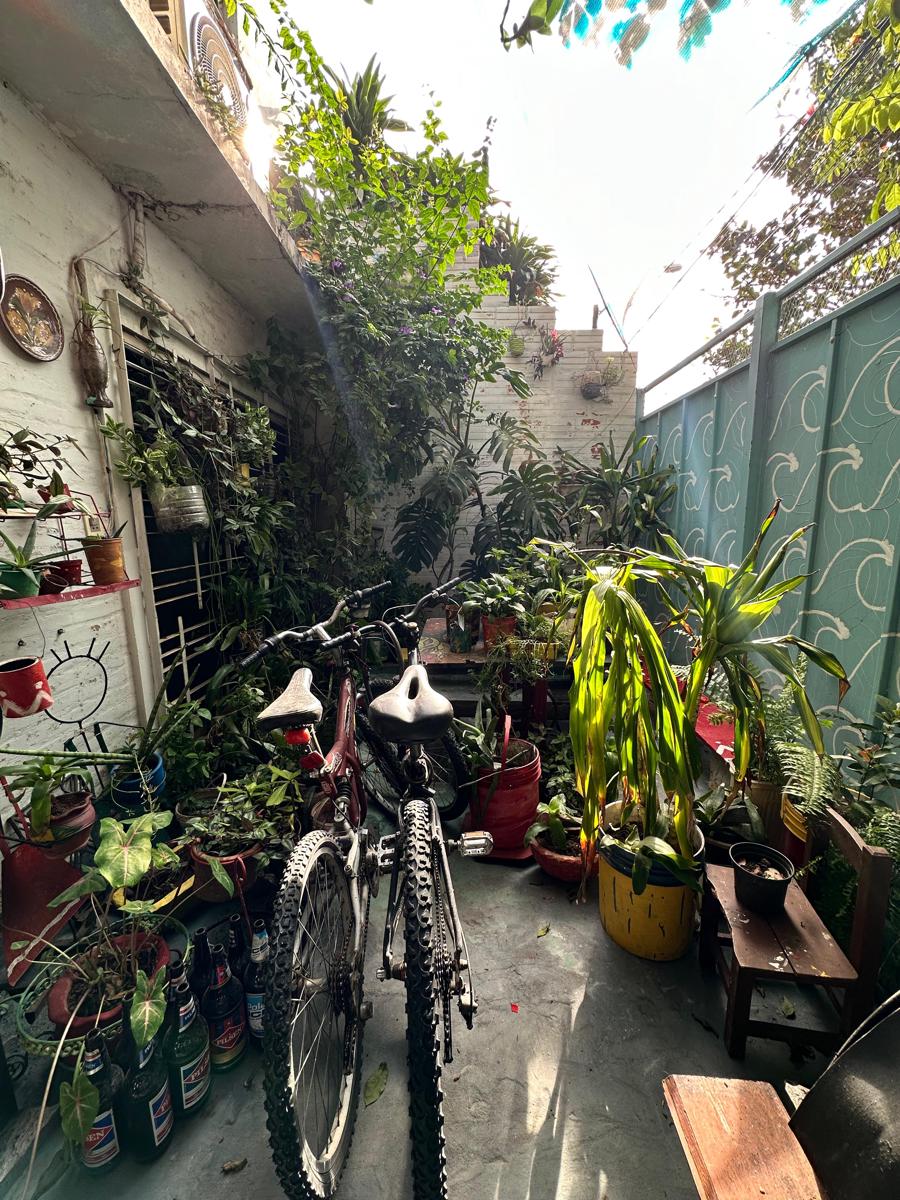 La Petite Maison photo 2