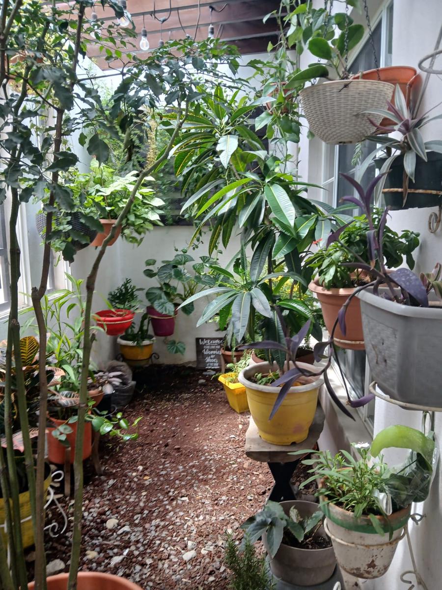 La Casa de Olga photo 2
