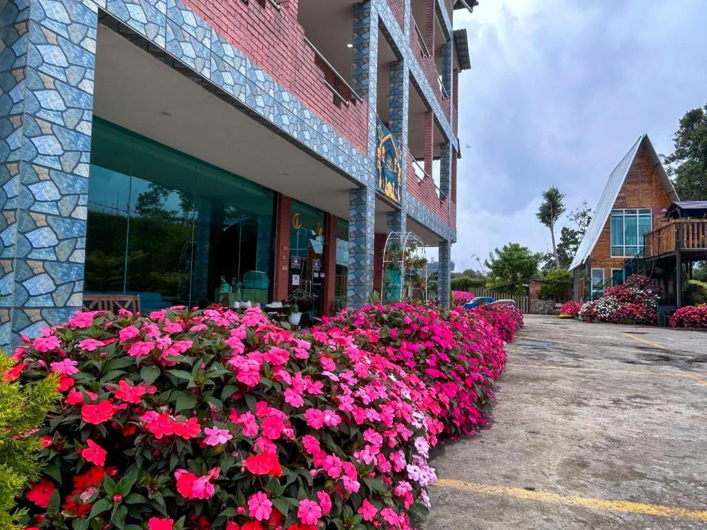 Tekoma Hotel & Hostel CH - FREE SHUTTLE SERVICE photo 4
