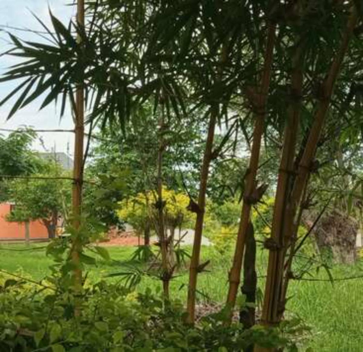 Eco Hub Africa Cottages, Coworking And Nature photo 3