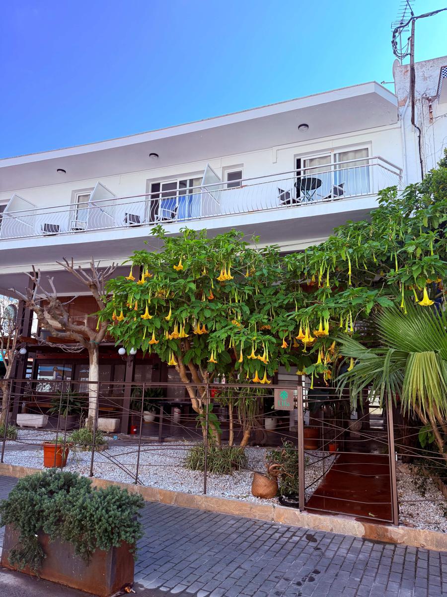 L'illa Hotel photo 1