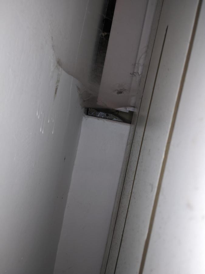 Puruha Inn photo 6