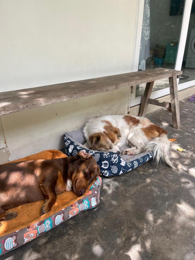 Kontum Home Sweet Homestay photo 6