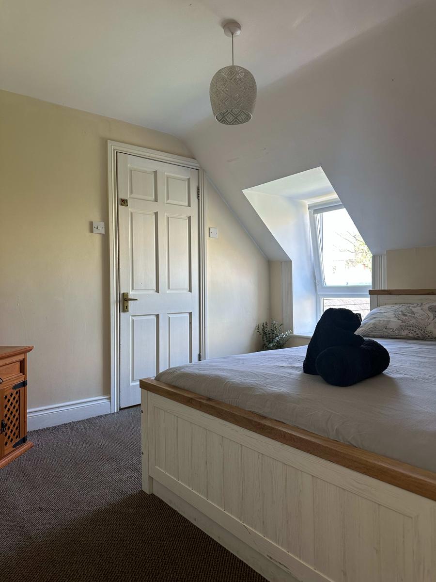 The Grapevine Hostel photo 2
