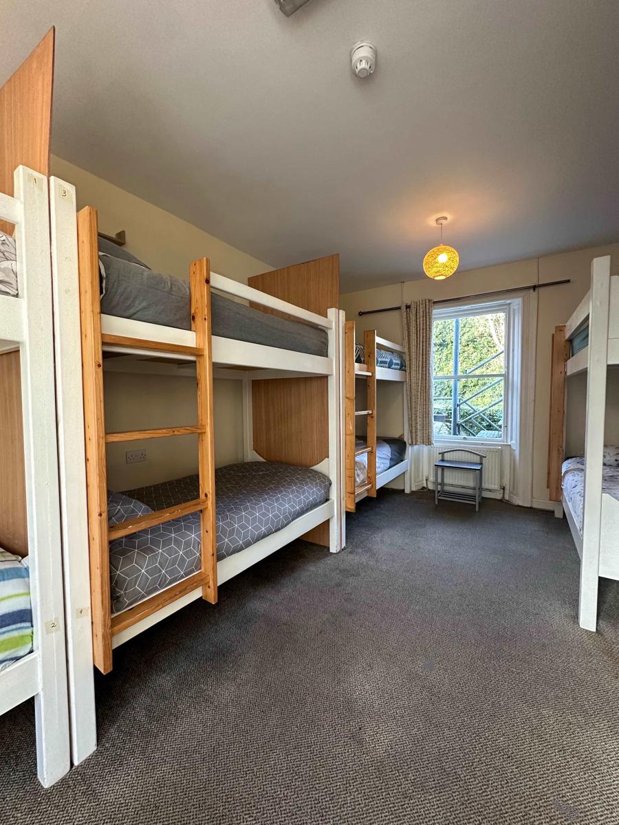The Grapevine Hostel photo 4