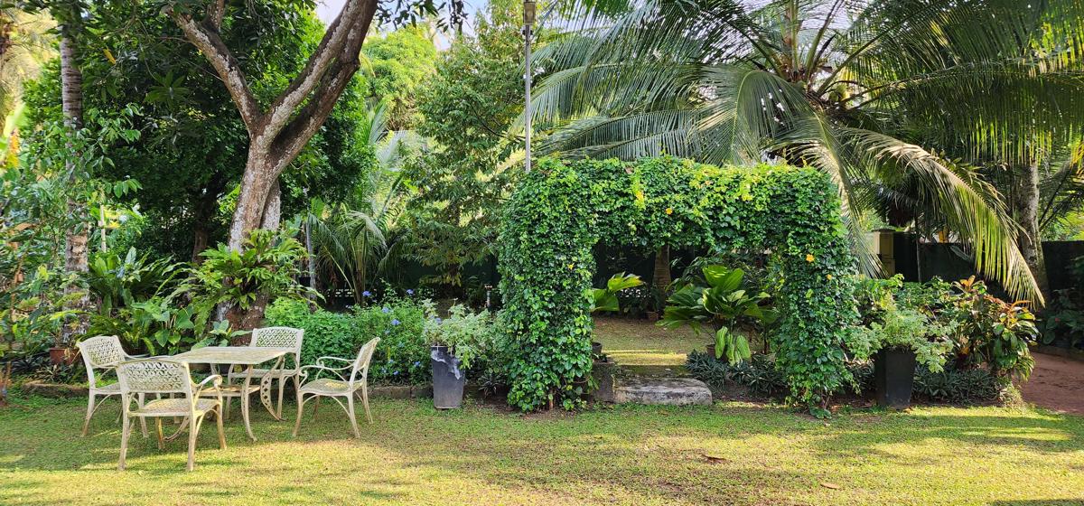 CHARAKAMA Guest Bungalow photo 3
