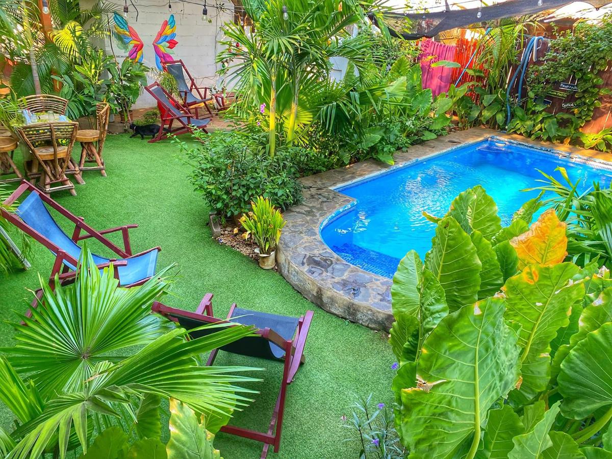 Al Sole Guesthouse photo 1
